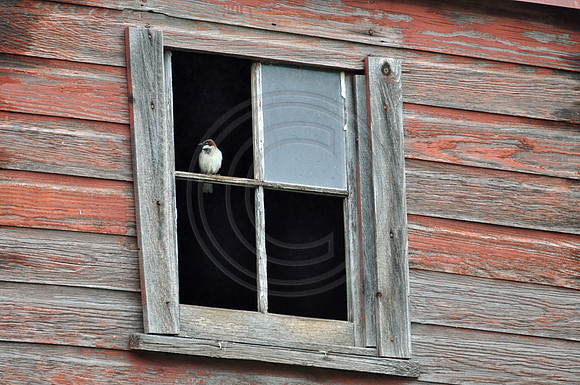 View from a window
