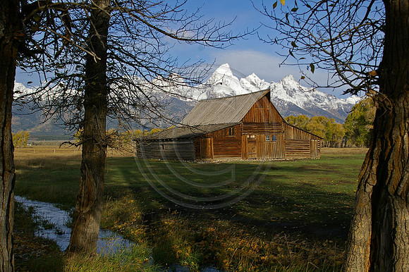 Moran Barn Morning