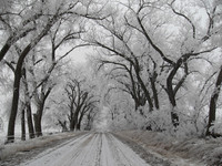 Winter Road