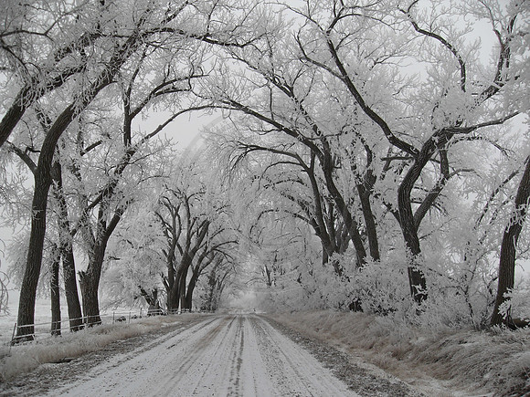 Winter Road