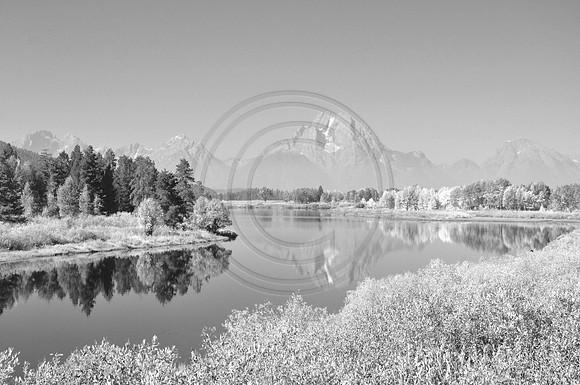Oxbow Bend B&W