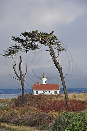 Point Wilson thru trees