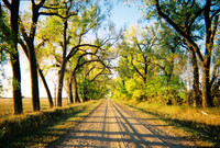 Fall Road