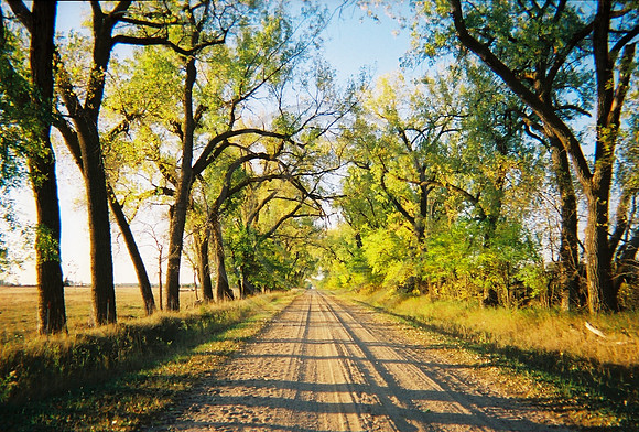 Fall Road