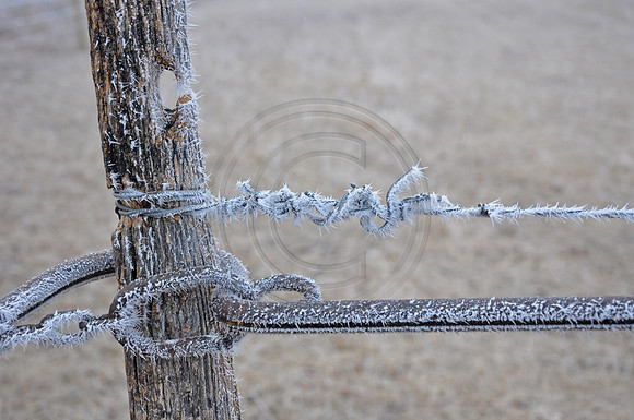 fence lever