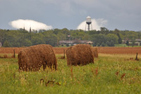 Hay Bales