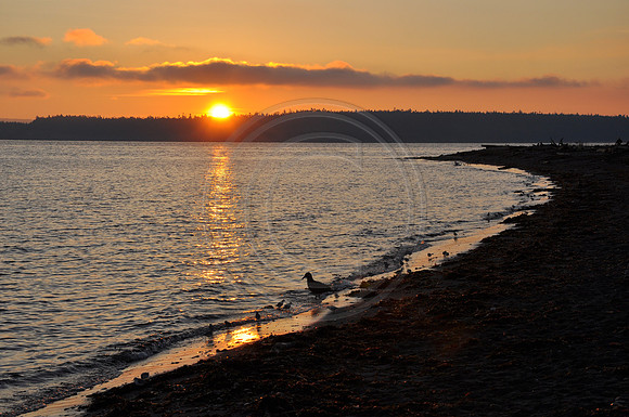 Port Townsend sunrise