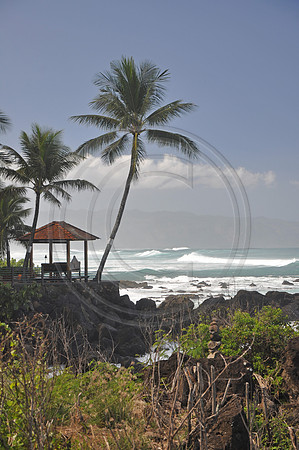 Hawaii!!! 449 copy