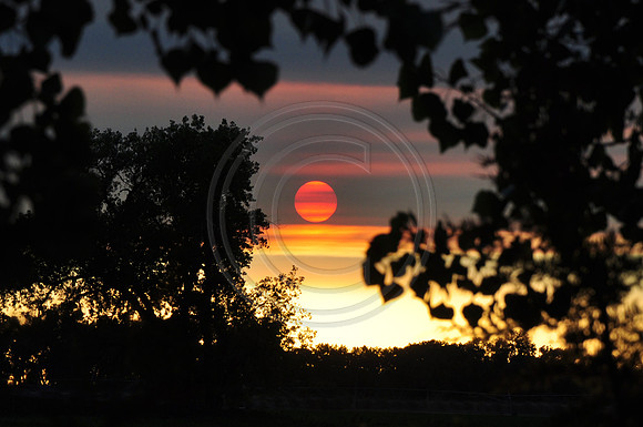Sherbert Sunset