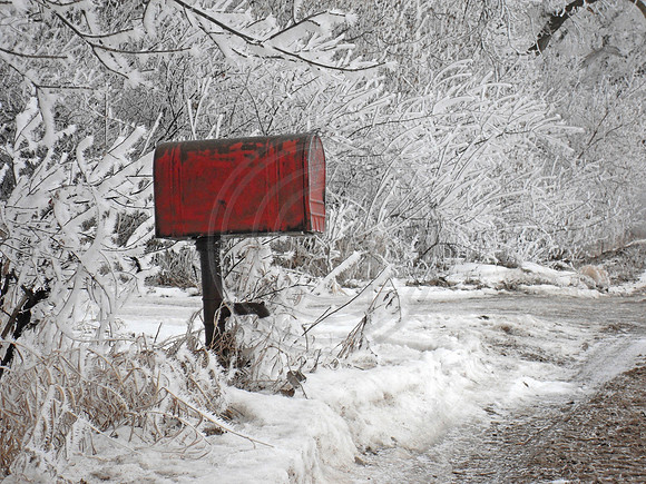 Red Mailbox