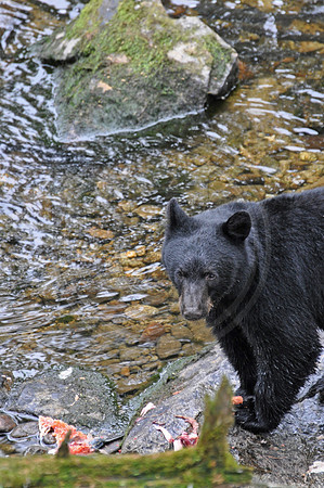 DSC_0457 copy