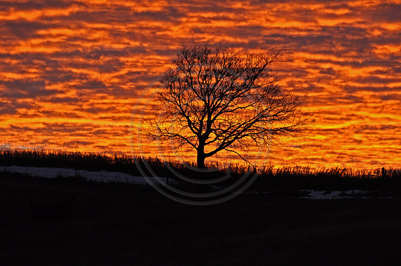 Sunset on Fire