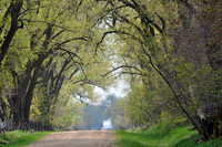 Spring Road