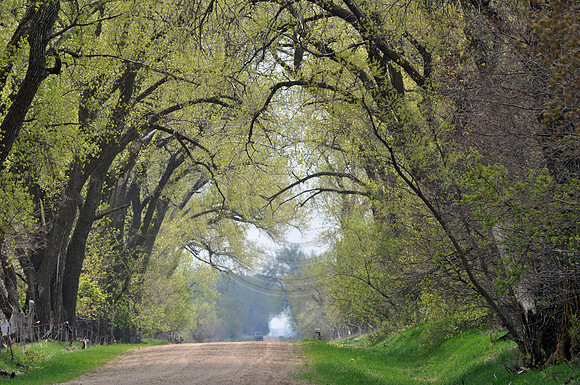 Spring Road
