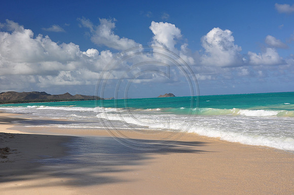 Hawaii!!! 764 copy