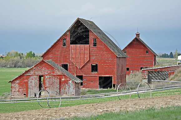 3 Red Barns