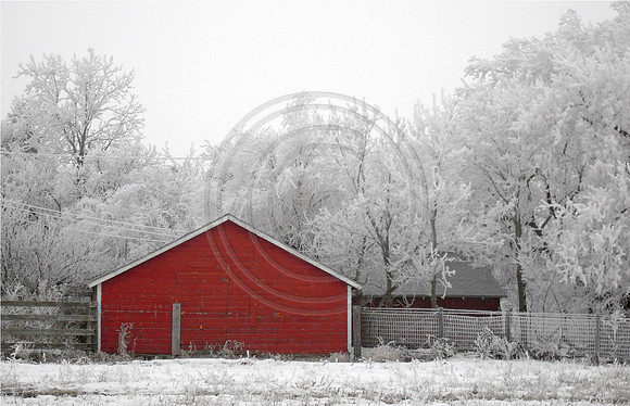 Red Barn with frost